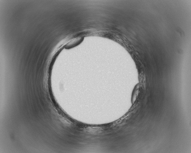 X0000110860150200907301359
