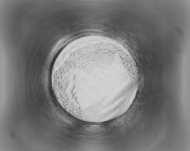 X0000110860151200907301359