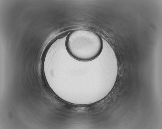 X0000110860152200907301359