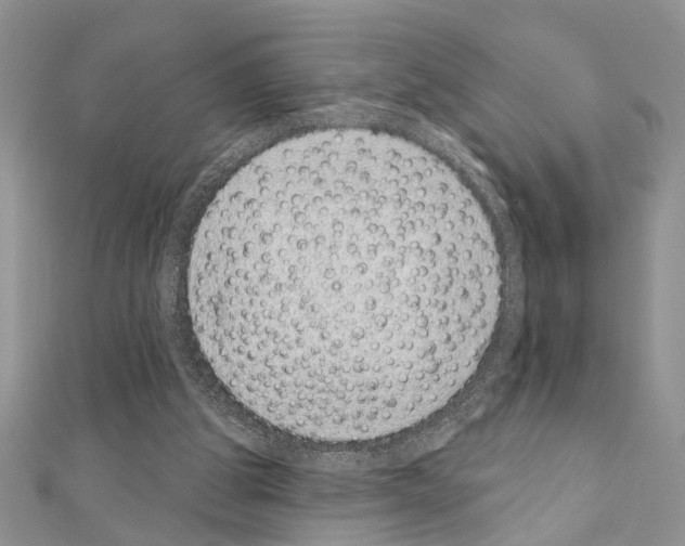 X0000110860153200907301359