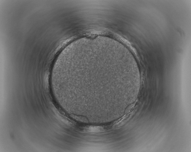X0000110860154200907301359