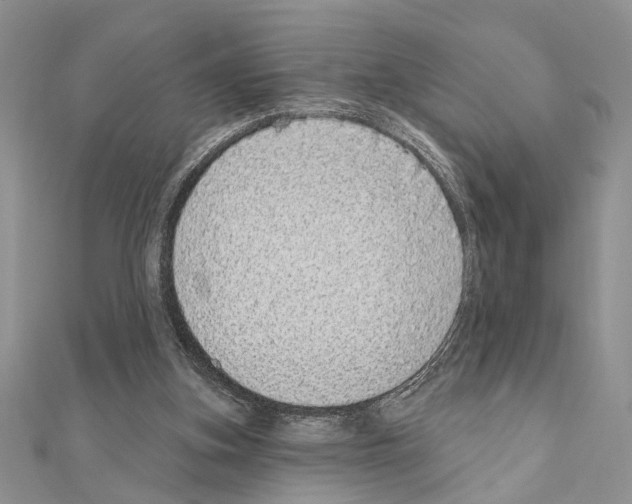 X0000110860155200907301359