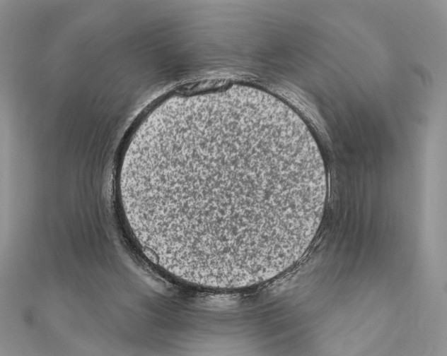 X0000110860156200907301359
