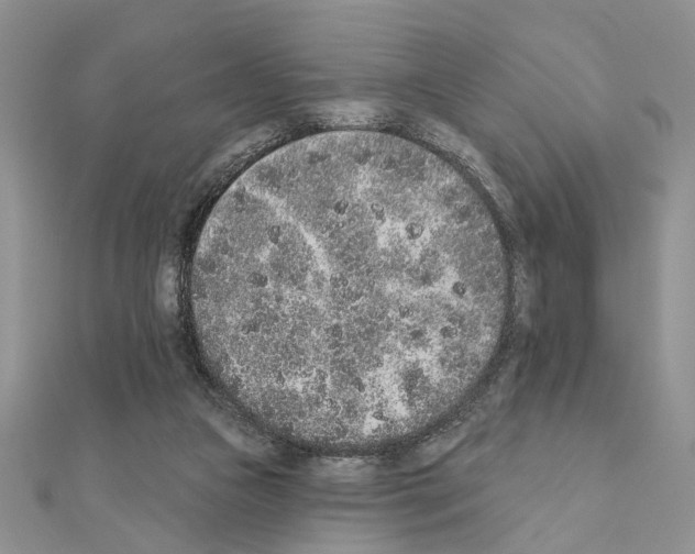 X0000110860161200907301359