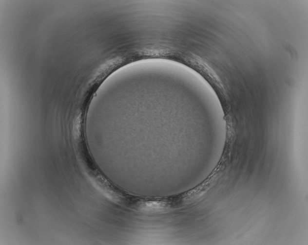 X0000110860163200907301359