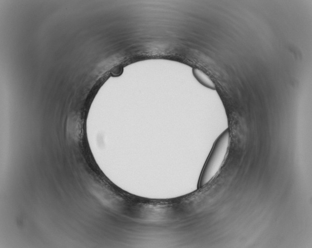 X0000110860164200907301359