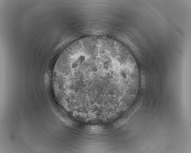 X0000110860165200907301359