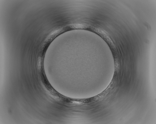 X0000110860167200907301359