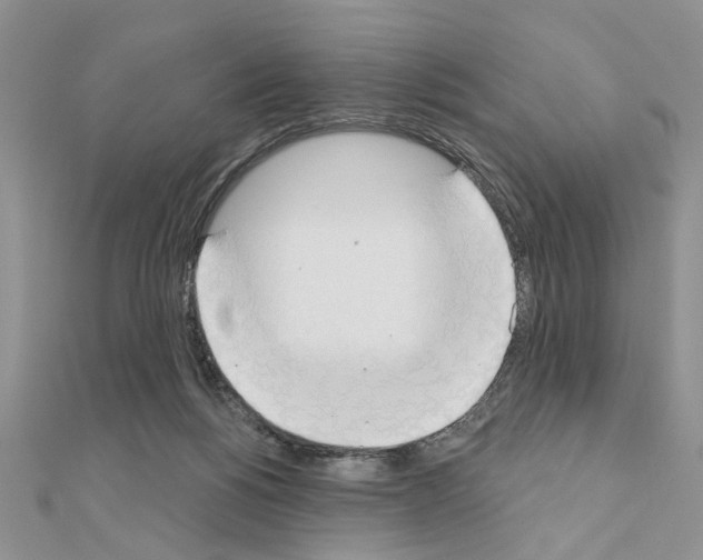 X0000110860168200907301359