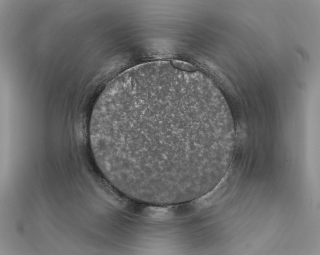 X0000110860170200907301359