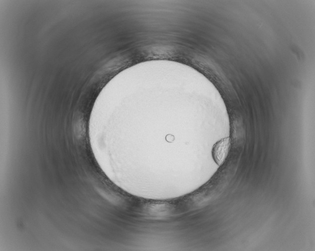 X0000110860173200907301359