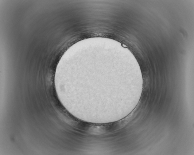 X0000110860174200907301359