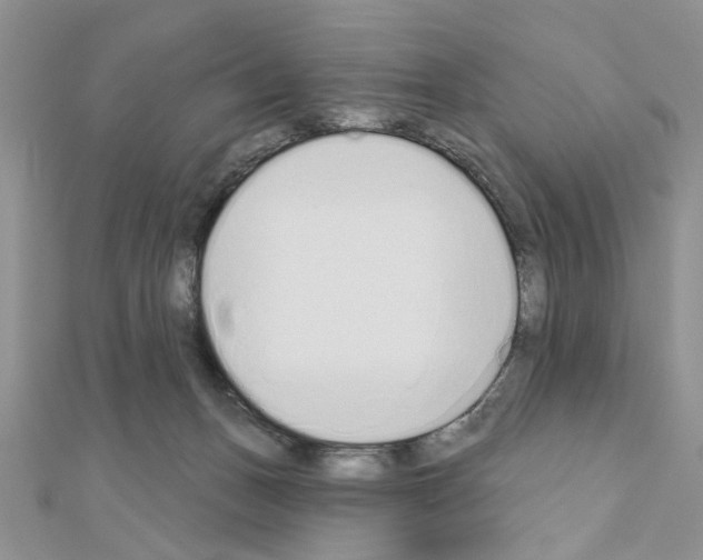 X0000110860175200907301359