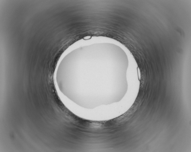 X0000110860176200907301359