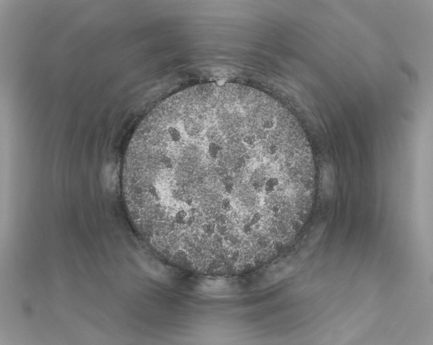X0000110860177200907301359