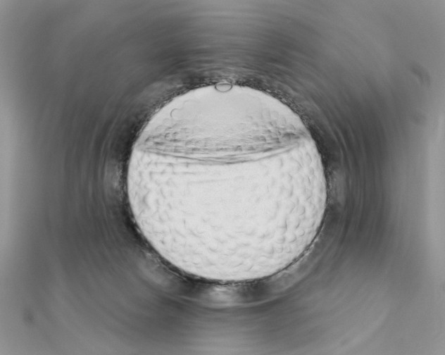 X0000110860178200907301359