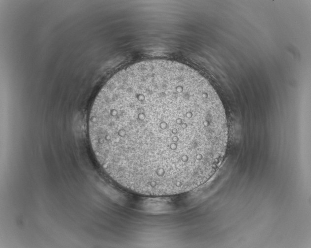 X0000110860179200907301359