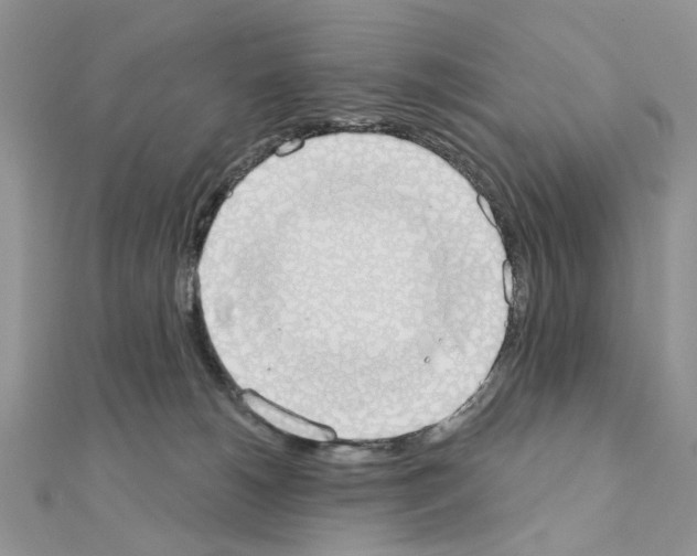 X0000110860180200907301359