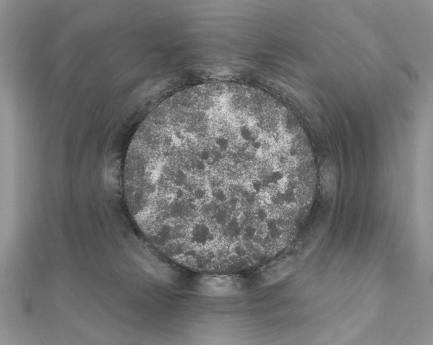 X0000110860181200907301359