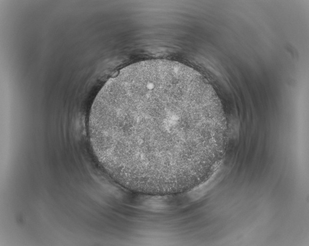 X0000110860182200907301359