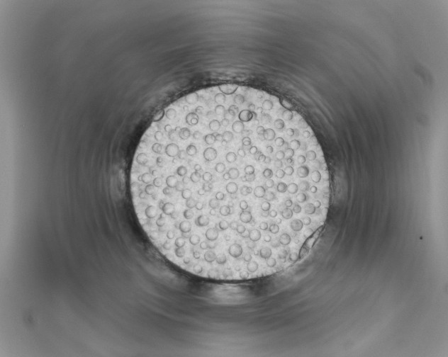 X0000110860183200907301359