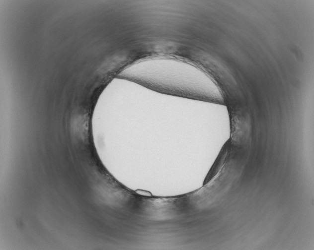 X0000110860184200907301359