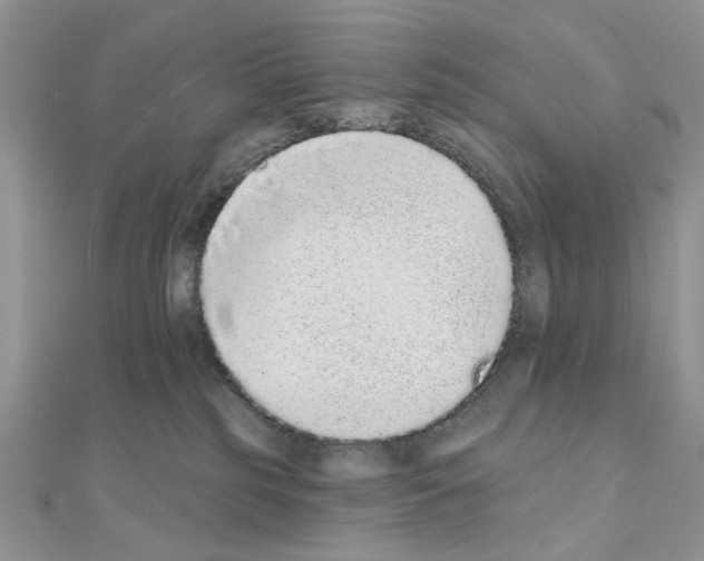 X0000110860185200907301359