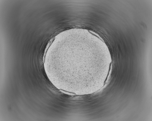 X0000110860186200907301359