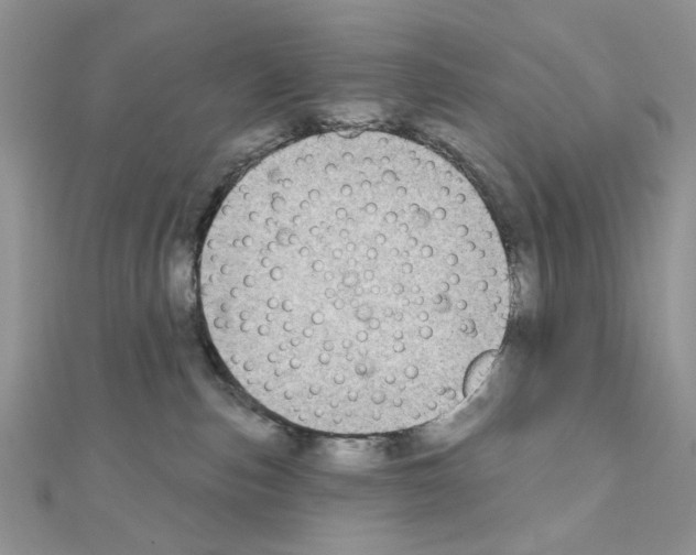 X0000110860187200907301359