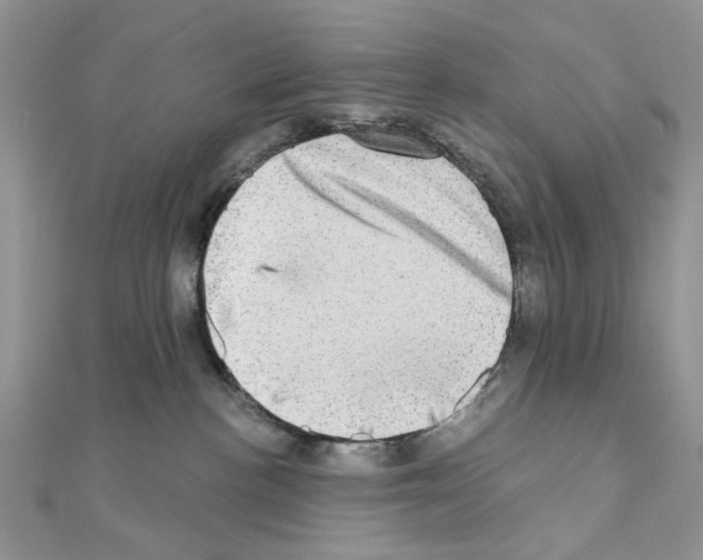 X0000110860188200907301359