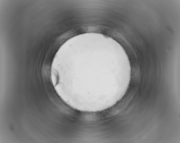 X0000110860189200907301359