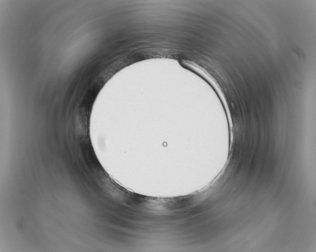 X0000110860190200907301359