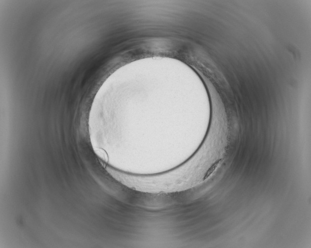 X0000110860191200907301359
