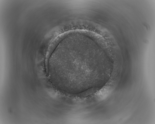 X0000110860192200907301359