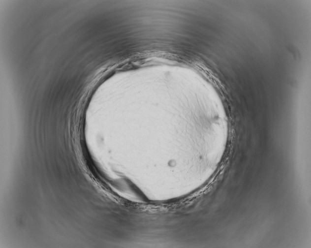 X0000110860193200907301359