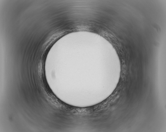 X0000110860194200907301359