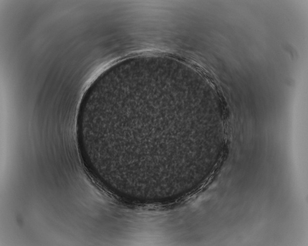 X0000110860196200907301359
