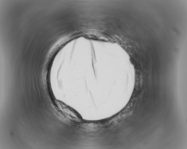 X0000110860197200907301359