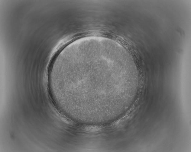 X0000110860198200907301359