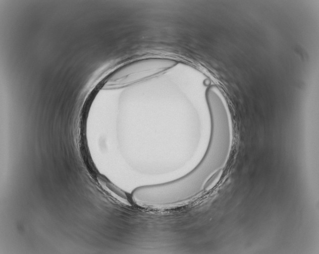X0000110860199200907301359