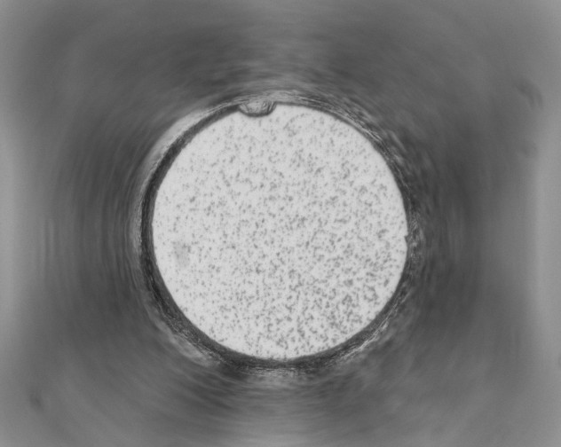 X0000110860200200907301359