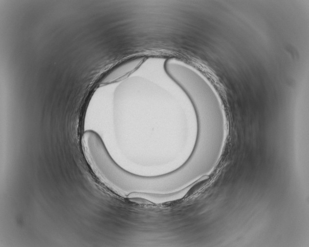 X0000110860201200907301359
