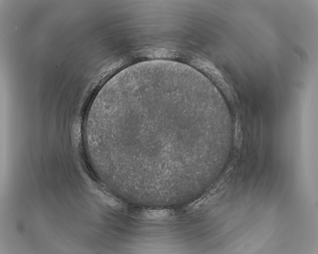 X0000110860202200907301359