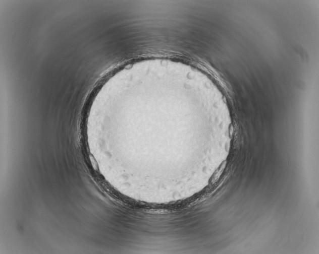 X0000110860203200907301358
