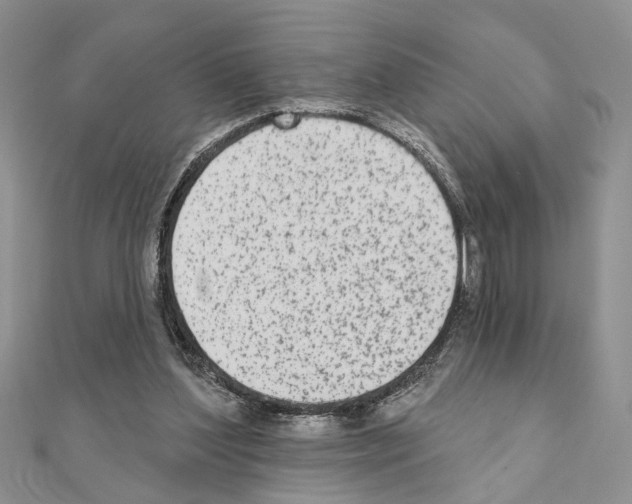 X0000110860204200907301358