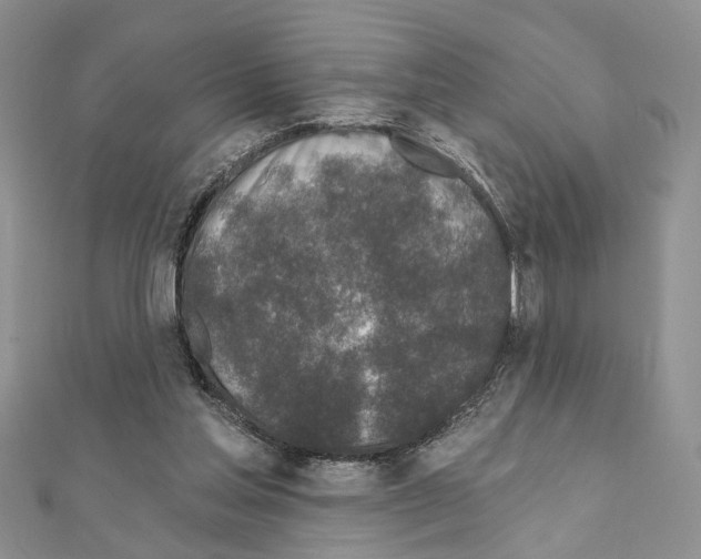 X0000110860205200907301358