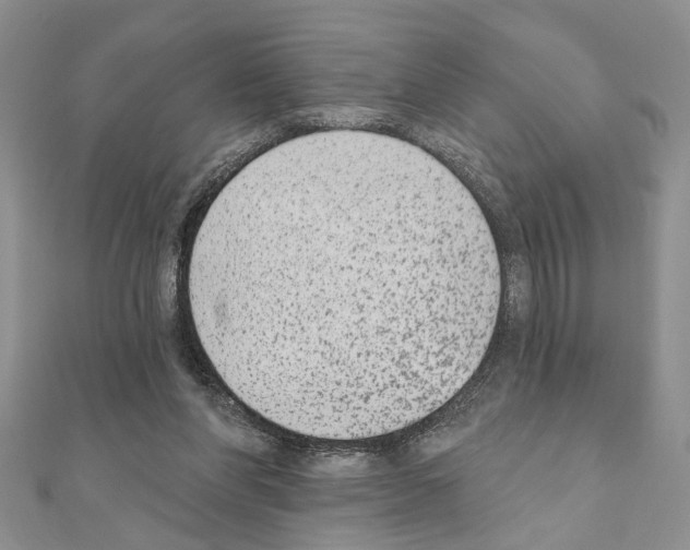 X0000110860206200907301358