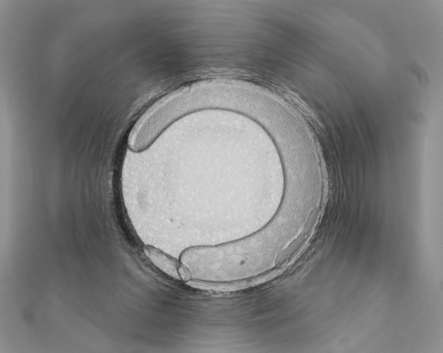 X0000110860207200907301358