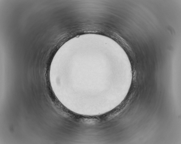 X0000110860209200907301358