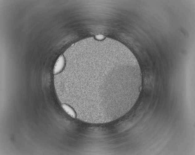 X0000110860211200907301358